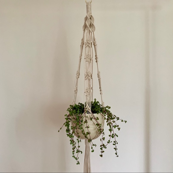 Macrame Plant Hanger - Picture 2 of 4